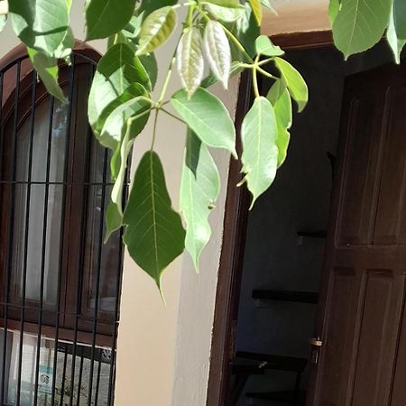 La Montana Bed and Breakfast Cafayate Εξωτερικό φωτογραφία