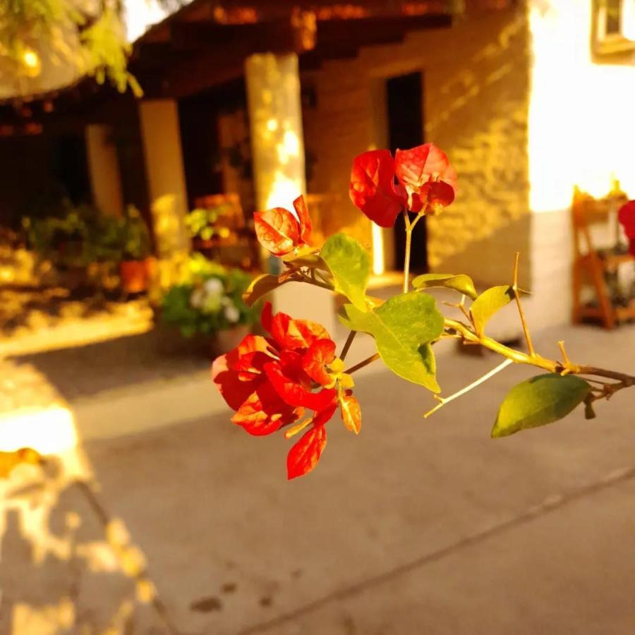 La Montana Bed and Breakfast Cafayate Εξωτερικό φωτογραφία