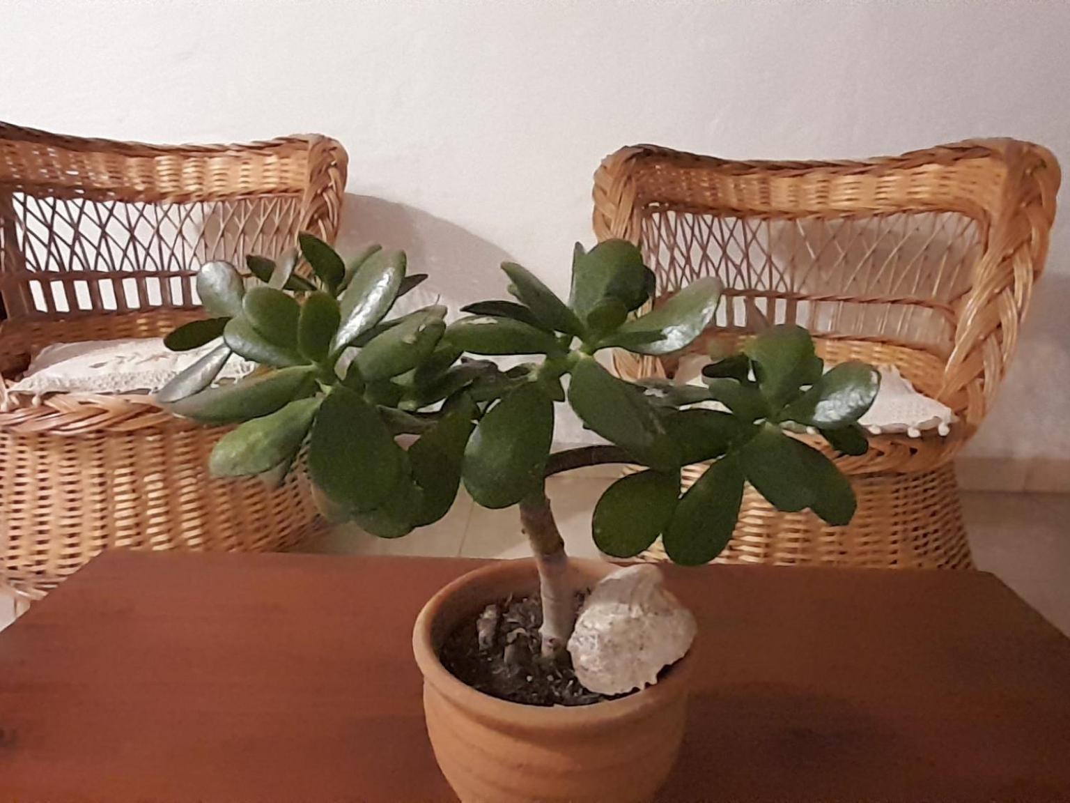 La Montana Bed and Breakfast Cafayate Εξωτερικό φωτογραφία