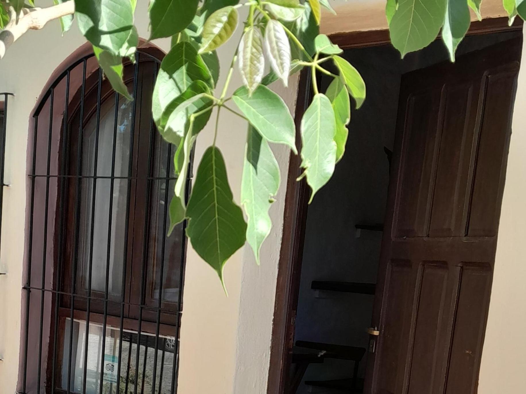 La Montana Bed and Breakfast Cafayate Εξωτερικό φωτογραφία