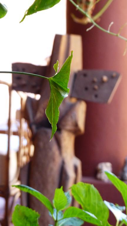 La Montana Bed and Breakfast Cafayate Εξωτερικό φωτογραφία